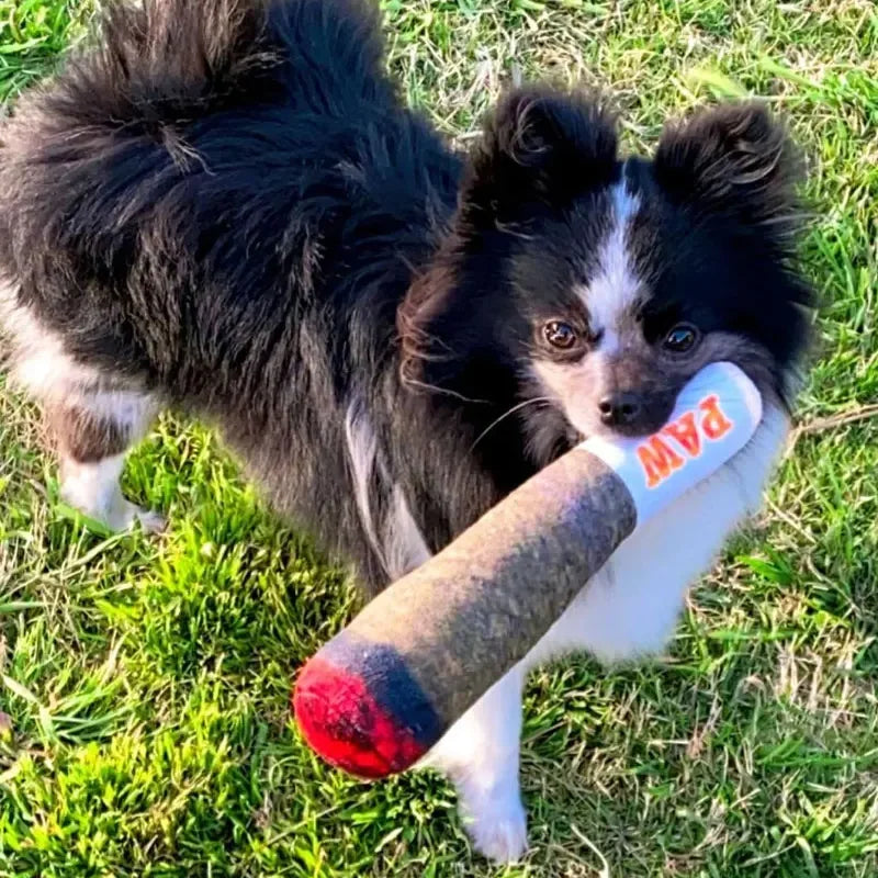 Squeaky Plush Weed Joint – Perfect Dog Gift