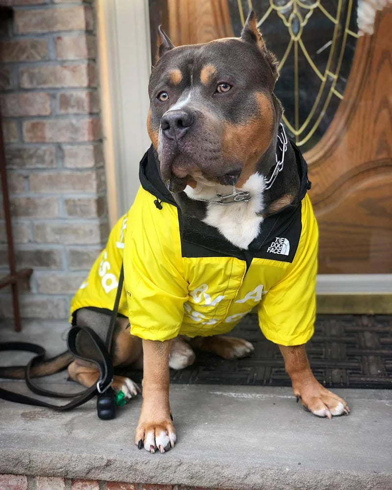 The Dog Fans Windbreaker Raincoat - Perfect for Hikes