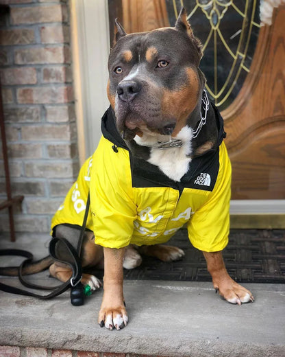 The Dog Fans Windbreaker Raincoat - Perfect for Hikes