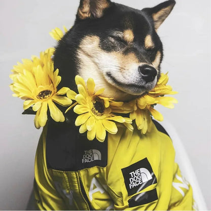 The Dog Fans Windbreaker Raincoat - Perfect for Hikes