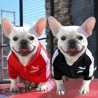 Stylish Dog Tracksuit Top