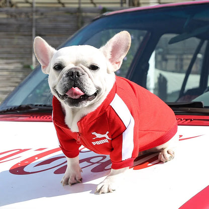 Stylish Dog Tracksuit Top