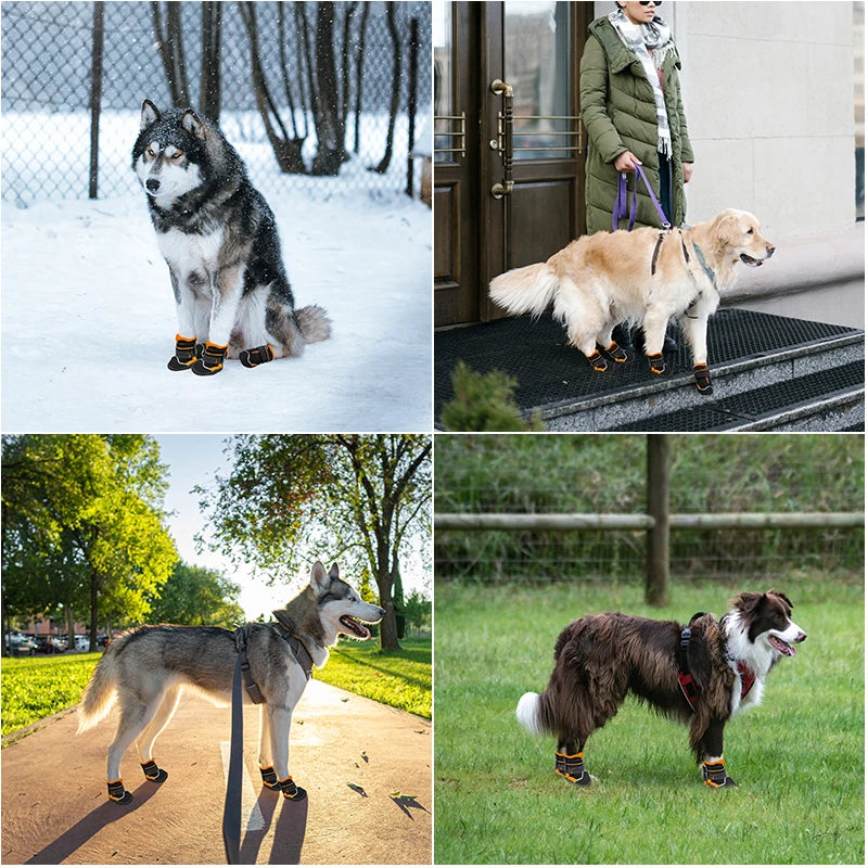 Premium Boots for Dogs All Sizes