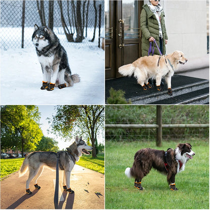 Premium Boots for Dogs All Sizes