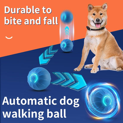 Smart Toy Ball with Automatic Movement