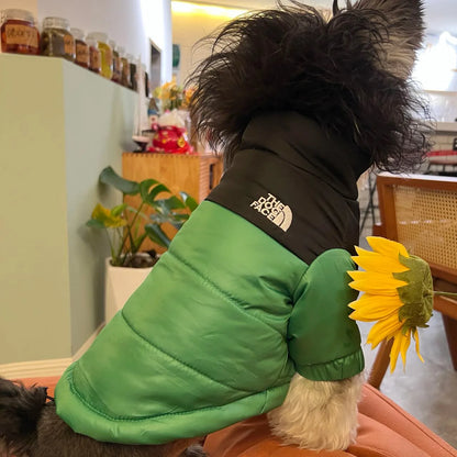 The Dog Face - Windproof Dog Jacket