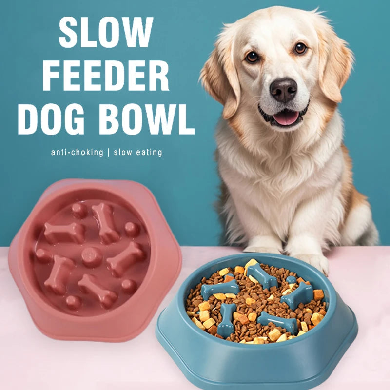 Dog Slow Feeder Bowl
