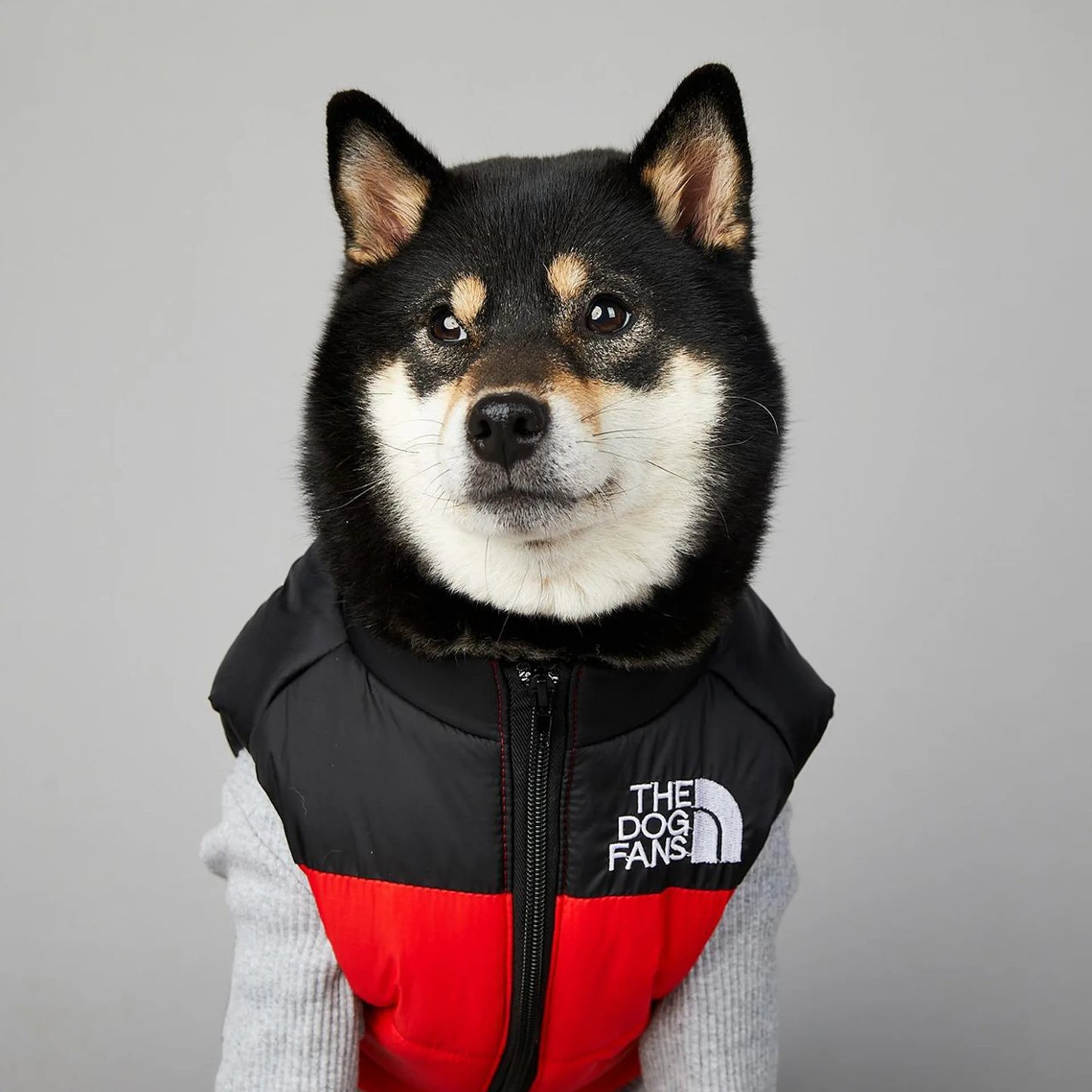 The Dog Fans Thermal