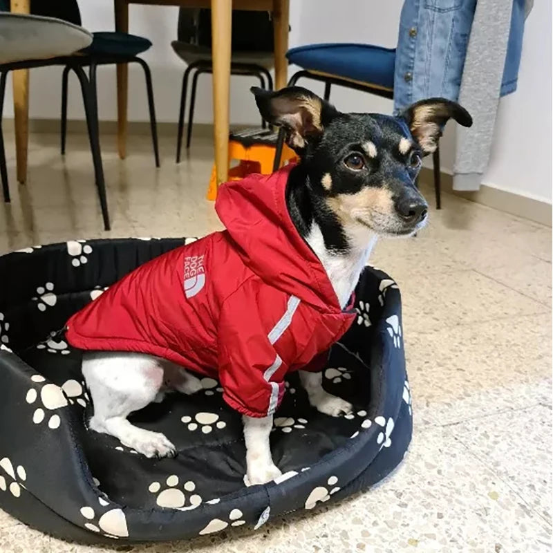 The Dog Face Waterproof Dog Jacket With Hood