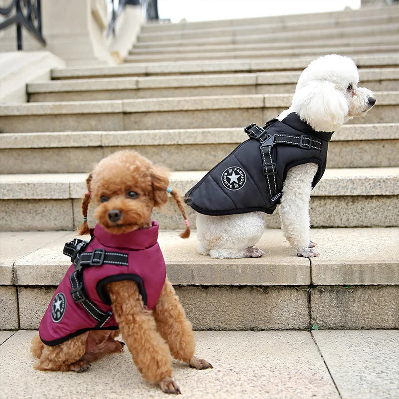Comfortable and Waterproof Stuffed Fur Dog Vest with Harness