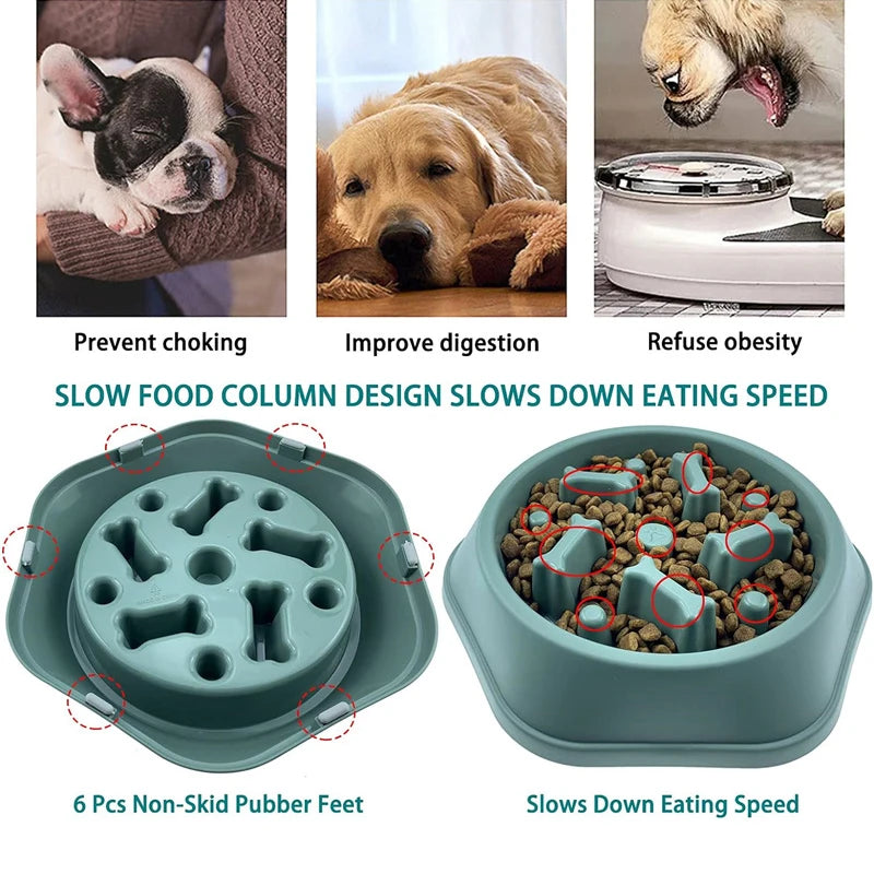 Dog Slow Feeder Bowl