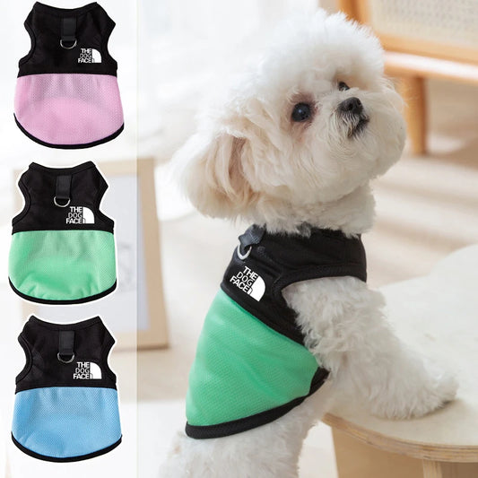 The Dog Face Summer Jacket