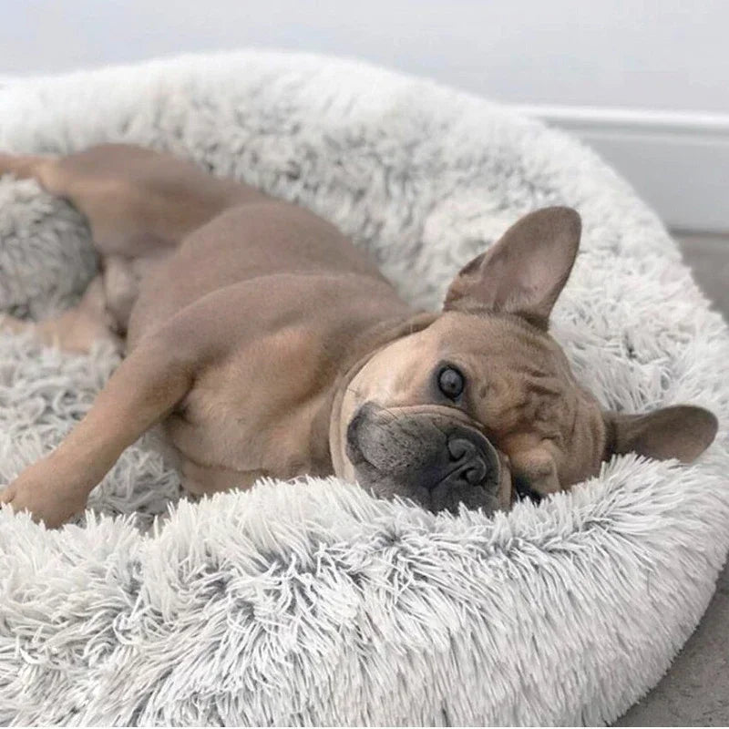 Furry Dog and Cat Bed