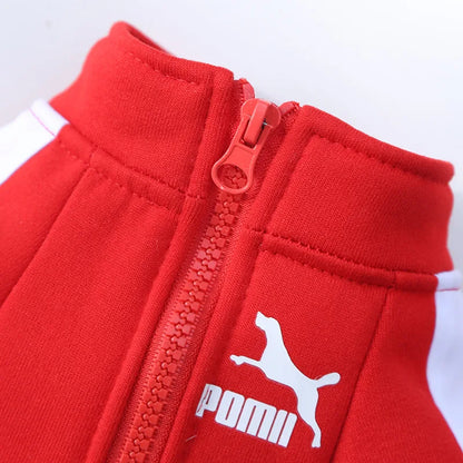 Stylish Dog Tracksuit Top