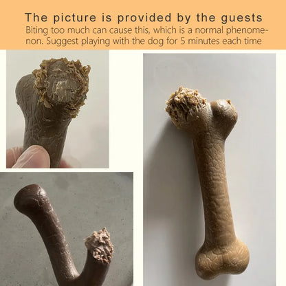 BONETICS Chewy Bone Toy